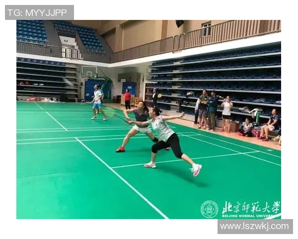 北京羽毛球队总决赛表现分析与状态评估全景回顾