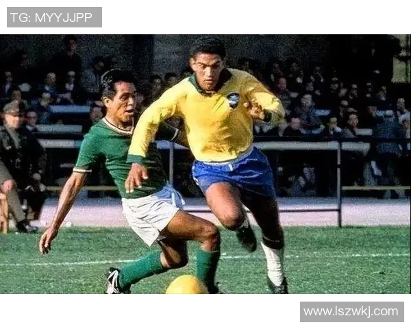 现役足球明星前锋排名揭晓谁将成为新一代进球机器