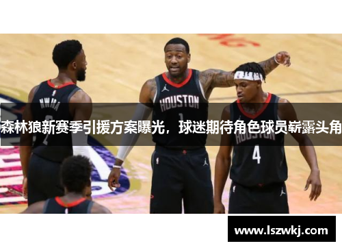 森林狼新赛季引援方案曝光，球迷期待角色球员崭露头角